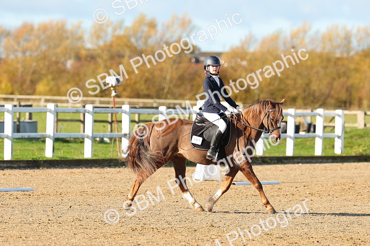 SBM_000231 - Prelim 5