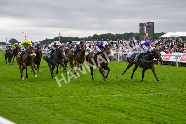 220824-Race 2-Diligently-6828 - Race 2 2.25pm Harry's Half Million By Goffs Premier Yearling Stakes