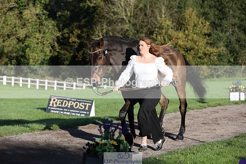 241027-090030-14958 - 458-Paige.Mcwilliams-FVS.CORRADO.MILLION