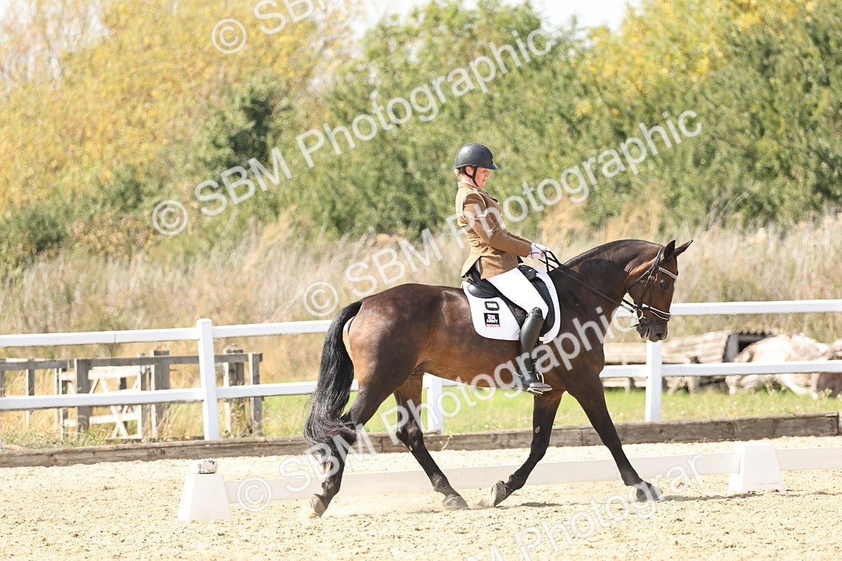 SBM_014895 - Class 7 - Medium 3