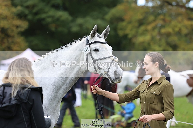 251026A-110725-25242 - F-464-Sophie.Aldrich