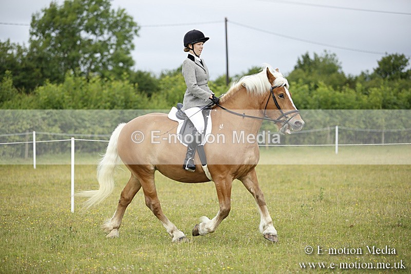 BVR160717-260 - Ring 1 BVRC Show 16/07/17