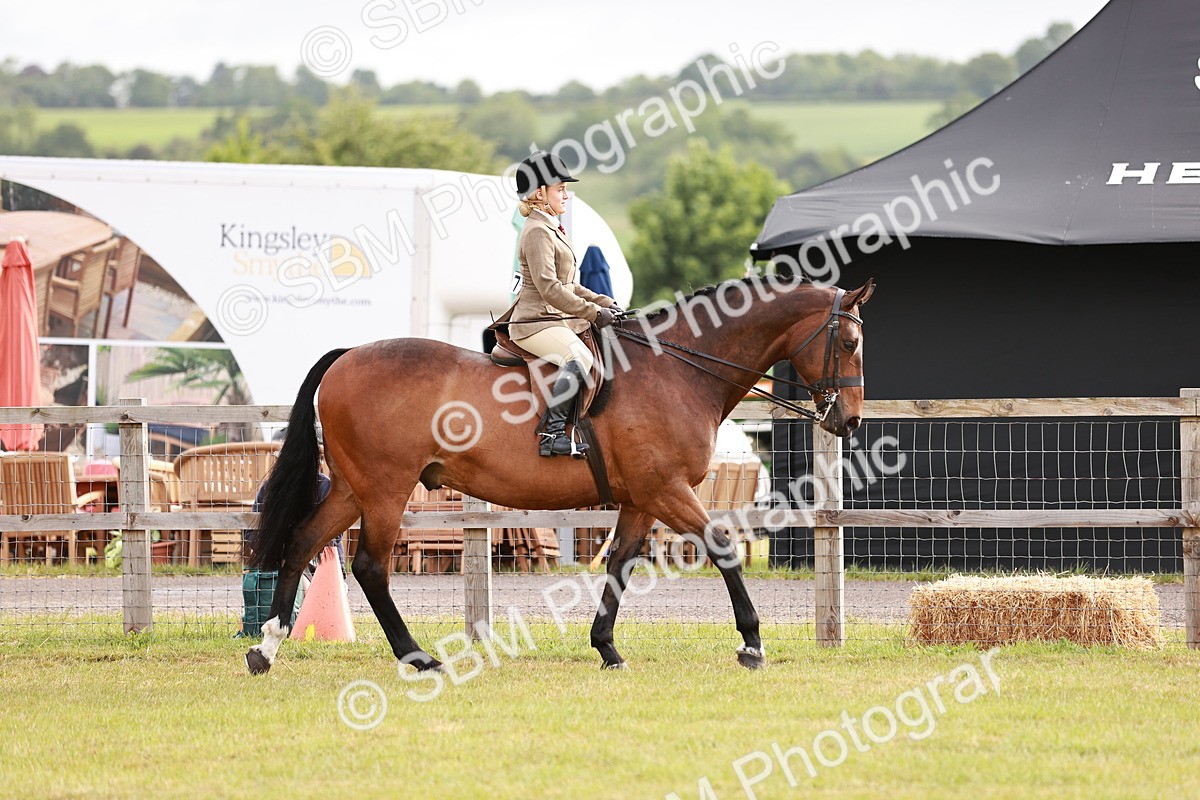 SBM_10838 - Class 81-84 - RIHS Ridden hunters Inc Ladies Hunter