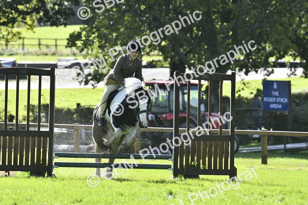 SBM_38192 - S31 - Novice & Newcomer Working Hunter Pony