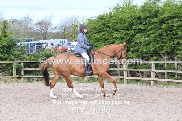 BPP_6826 - RING 1  (RIDDEN HORSES / IN HAND / VETERAN ETC)