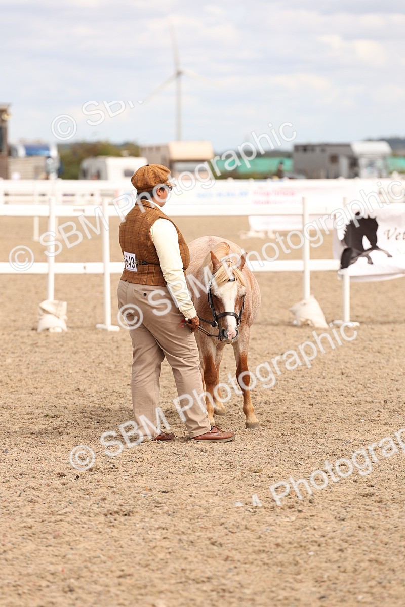 SBM_15135 - Class 209 - IH Veteran Pony