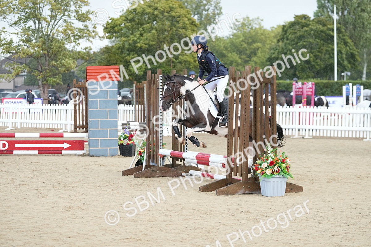 SBM_19704 - J49 - Open 50cm