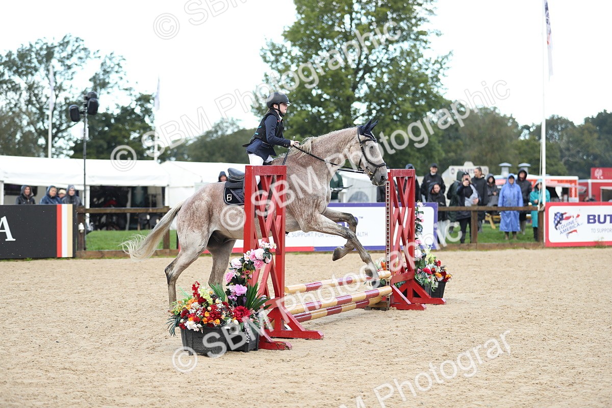 SBM_37238 - J20 - Junior Horse 50cm Championship