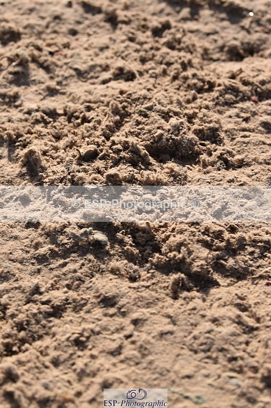 231015A-113014-07481 - Cls 23 Discovery & 1m Open