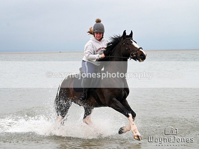 WJ7_9960 - Hayling Island Beach Shoot 22-09-24