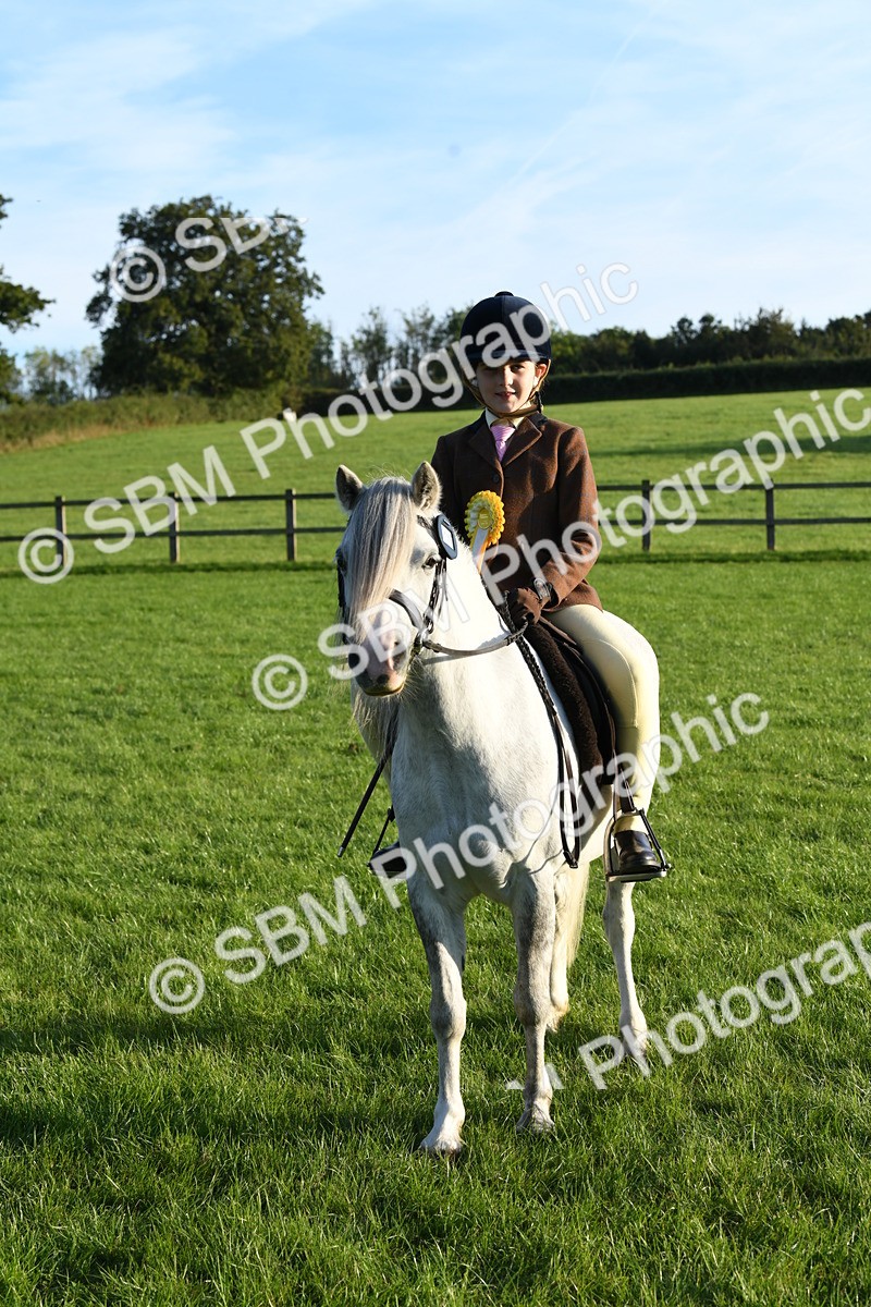 SBM_54185 - S23 - 1st Ridden Mountain & Moorland Pony