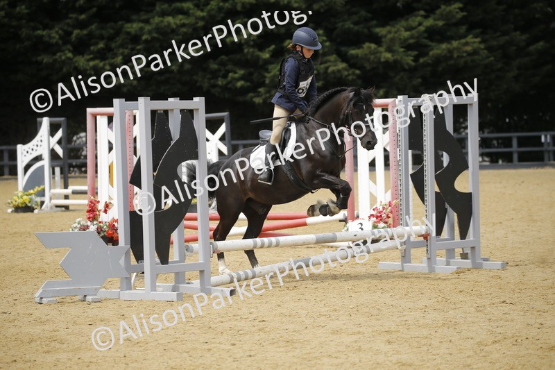 20250622-4669 - 50cm