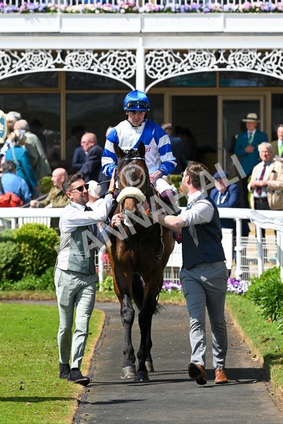140525-Race 1-Almoshher-1650 - Race 1 2.10pm Sky Bet Race To The Ebor Jorvik Handicap