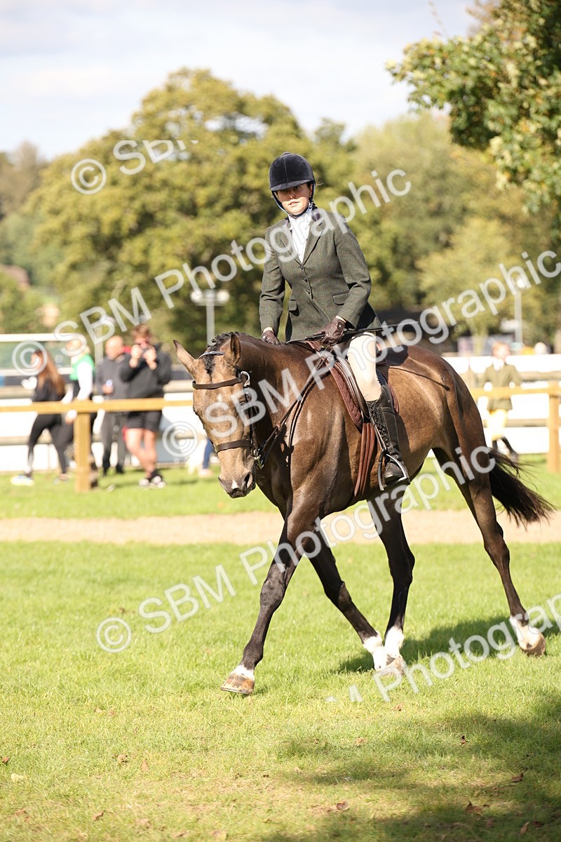 SBM_50059 - S26 - Young Veteran - Ridden