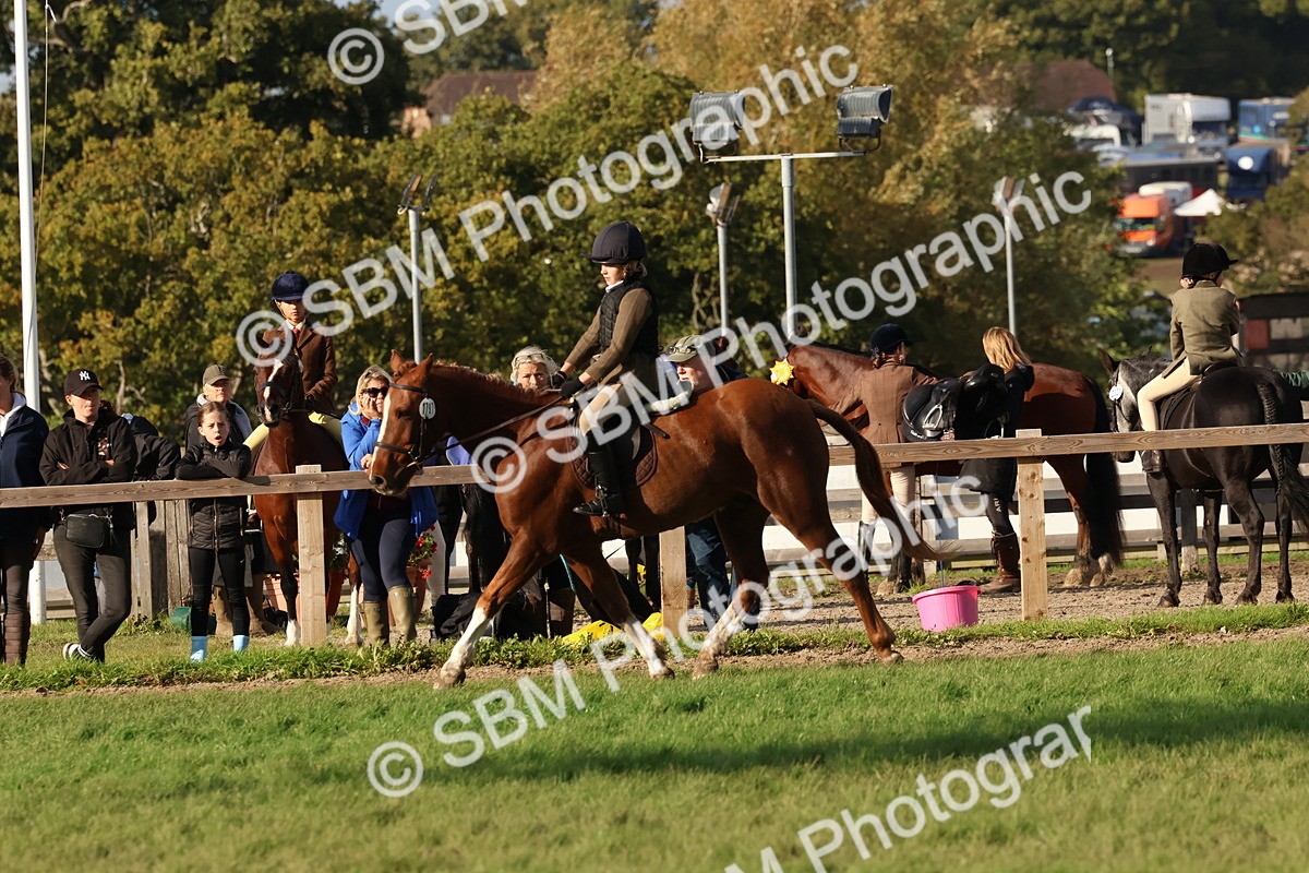 SBM_52609 - S13 - Pony Club Pony