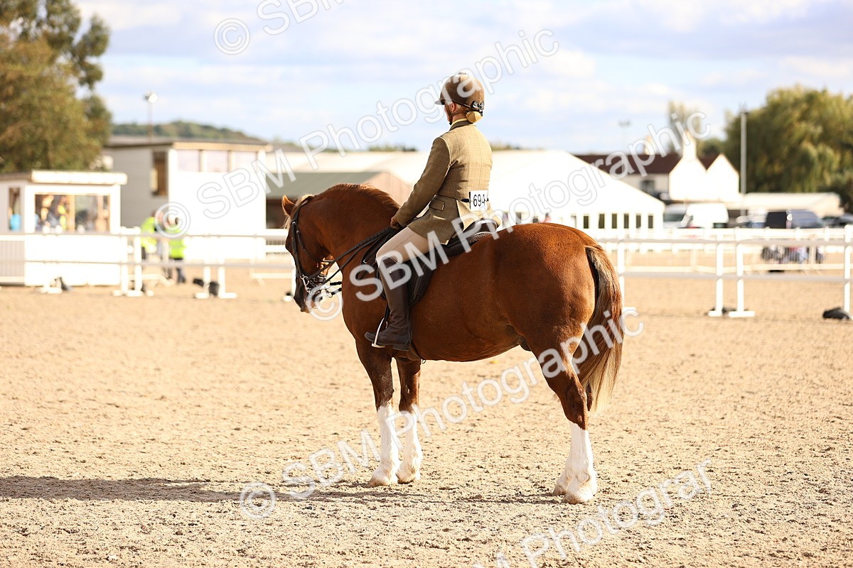 SBM_18255 - Class 423 - Equitation (best rider) Adult