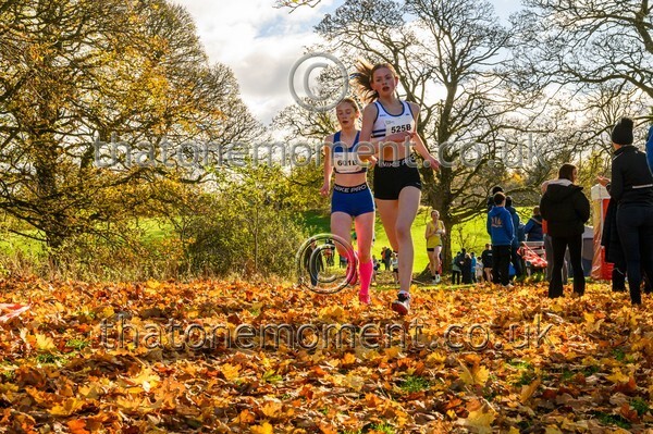 NatRel25-813682 - Young Female Set One