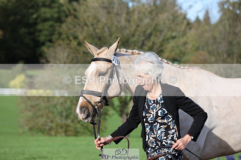 241027-103358-15970 - 519-Jane.Rogers-CORRIEVIEW.MERLIN.MAGIC