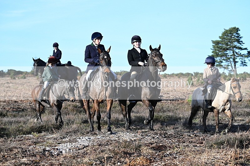 WJ7_7382 - Line 3 (no line 4 or 5)