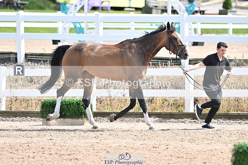 240717A-151746-02724 - Trot Up 3pm to 4pm