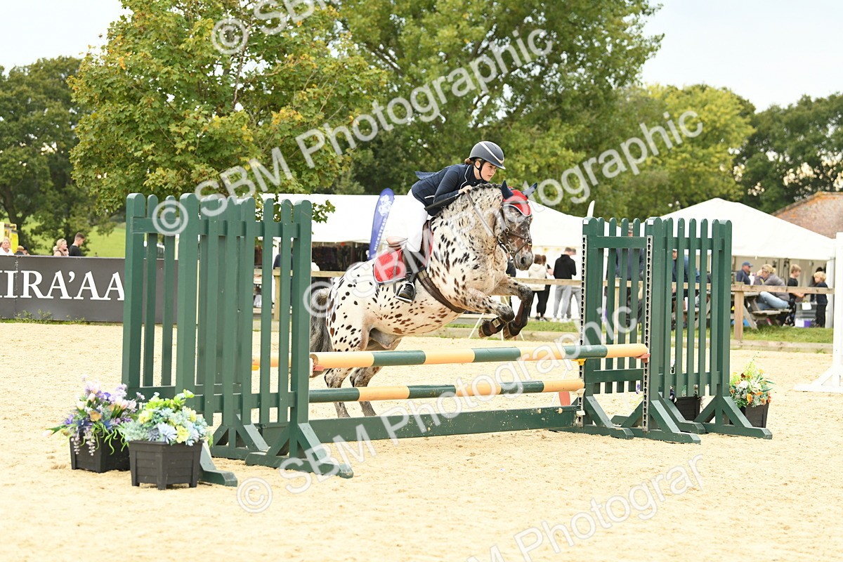 SBM_73095 - J16 - Junior Pony 75cm Championship