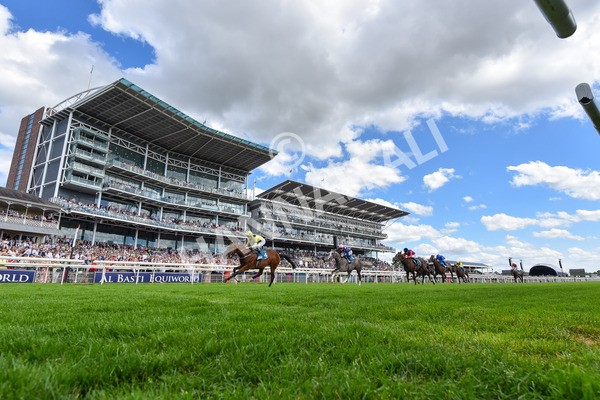 280625-Race 4-Hankelow-5310 - Race 4 3.40pm Al Basti Equiworld Dubai Novice Stakes