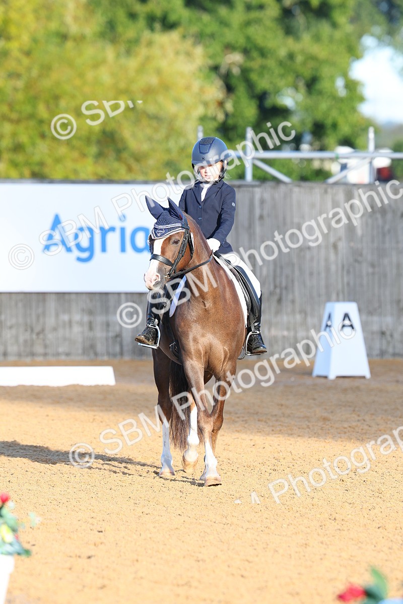 SBM_33455 - D26 - Test Starter Test 1