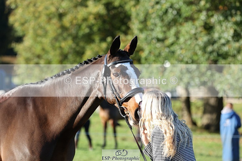 241027-091202-15108 - 351-Grace.Gillard-INDI