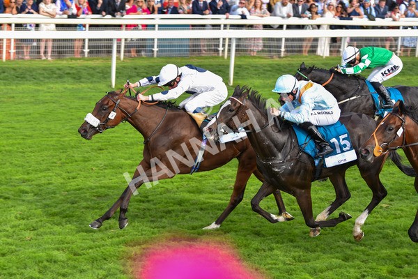 240823-Race 6-Gushing Gold-0731 - Race 6 4.45pm Or8Wellness EBF Stallions Nursery Handicap