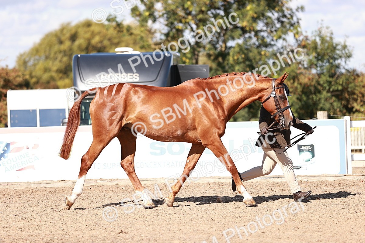 SBM_13326 - class 406 - IH Hunter