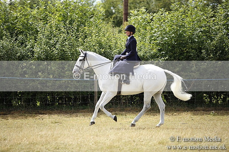 _C7A0280 - Side Saddle Classes BVRC Show 2018