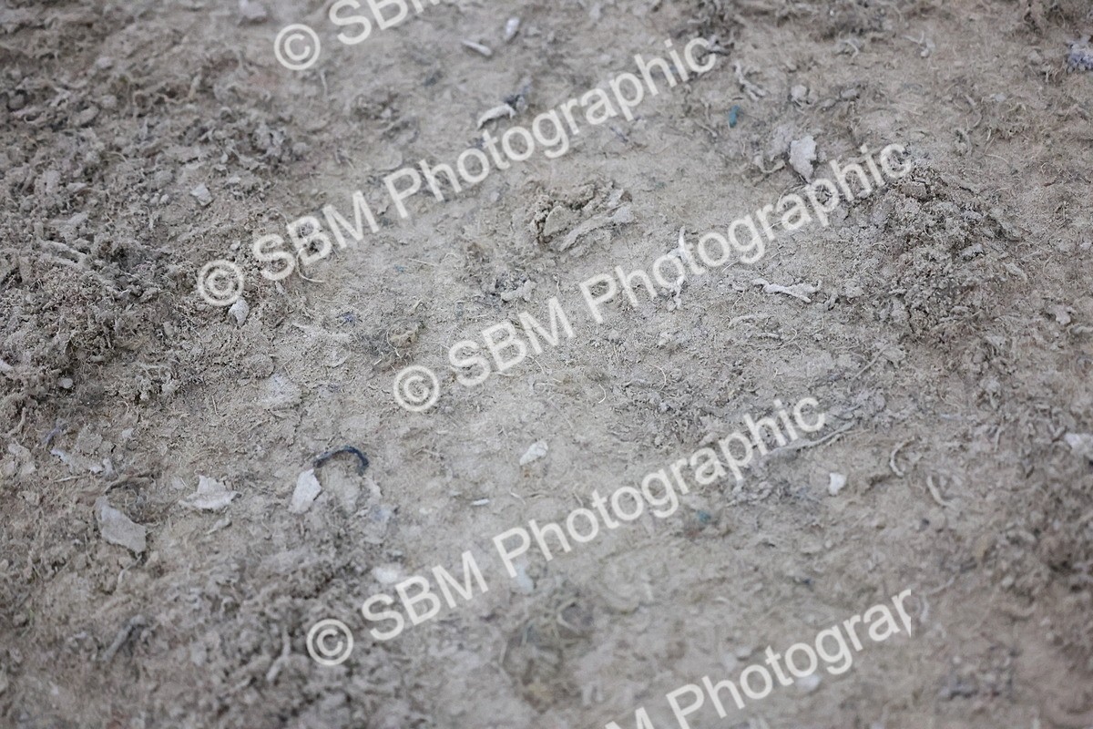 SBM_006104 - Evening Performance