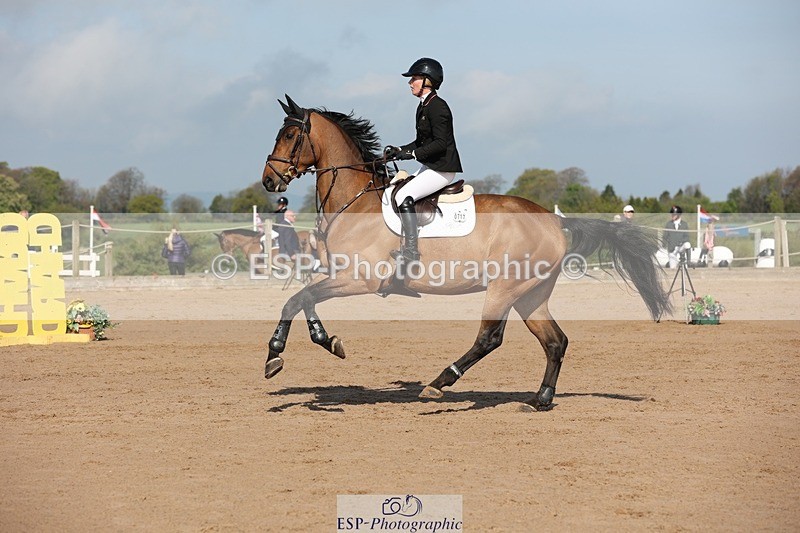 250427-095341-15120 - Cls 32 Young Horse 6yr old