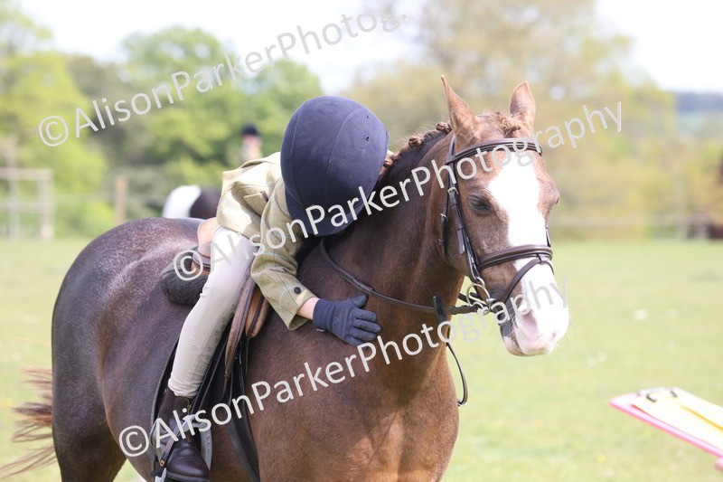 20260426-4070 - Small Pony Championship