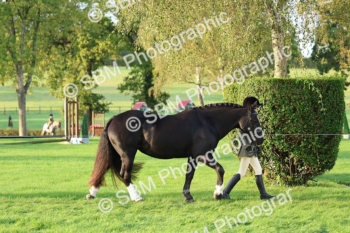 SBM_32747 - S8 - Best Turned Out