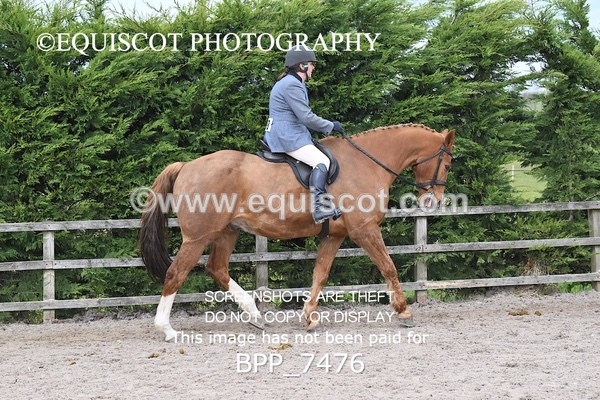 BPP_7476 - RING 1  (RIDDEN HORSES / IN HAND / VETERAN ETC)