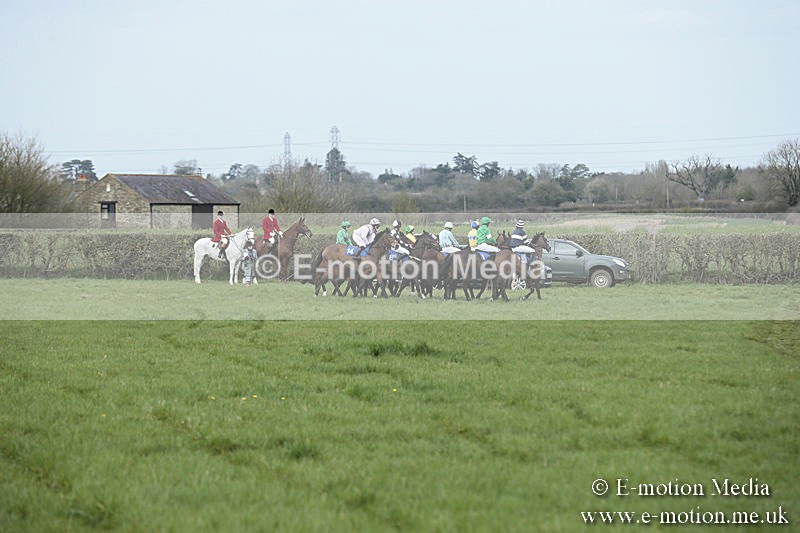 PtP 230319 131 - VWH Hunt Siddington Point-to-Point Racing 23/03/19