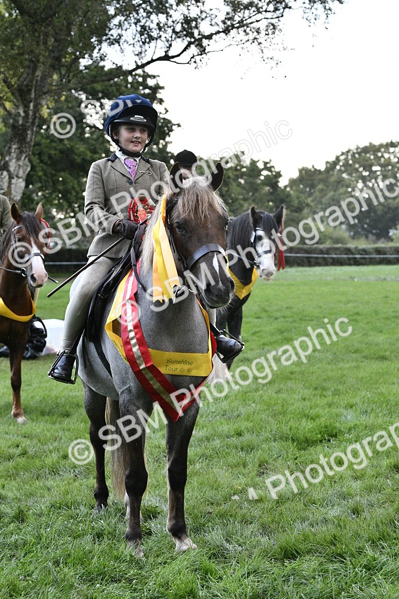 SBM_53349 - S14 - Riding Club Horse
