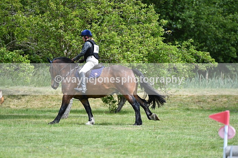 WJ5_2800 - Class 3 60cm Pairs