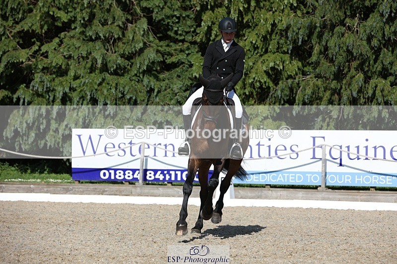 230526-170055-07886 - 174-LANCELOT_BMG-Alfie_Marshall-WEDTrotUp+DR