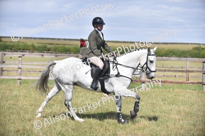 20260906-2717 - Class 13 - Working Hunter Horse or Pony
