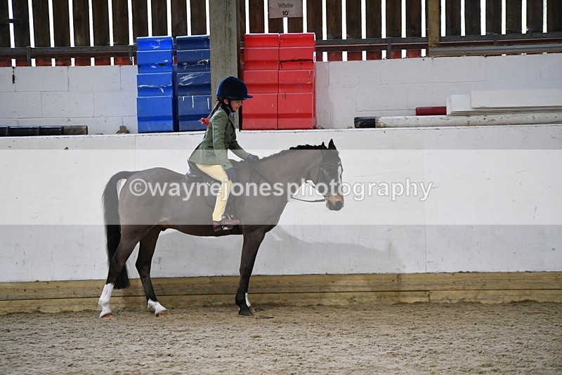 WJ5_6866 - Class 10 Childs Pony