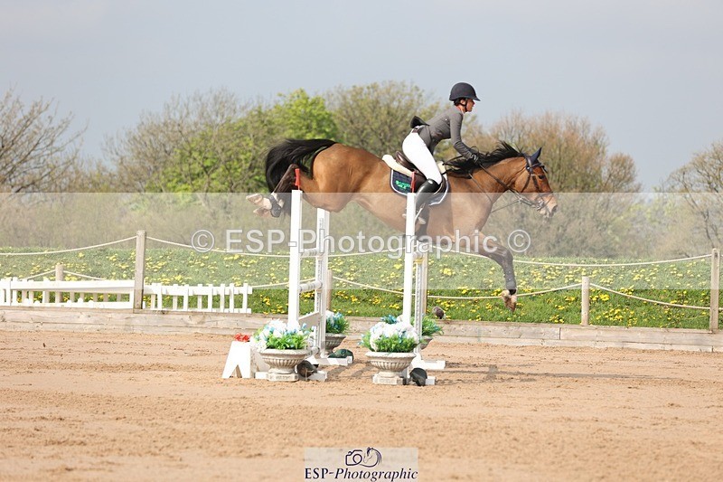 250424-104015-03161 - Cls 33 Young Horse 7yr old