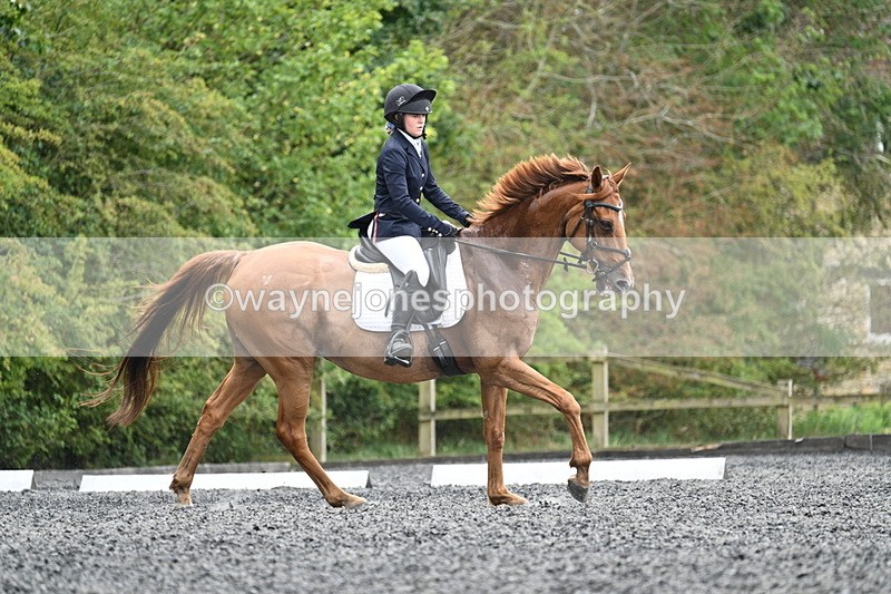 WJ7_7131 - Time 12:53 to 13:18