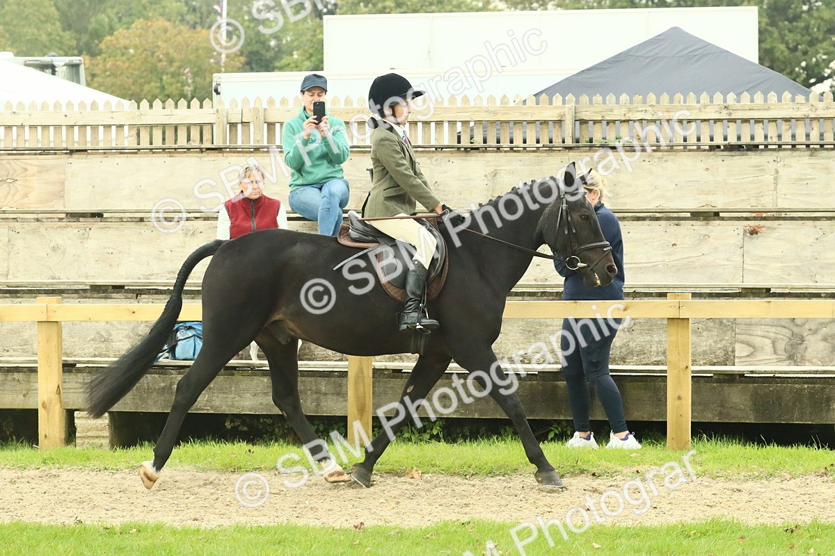 SBM_73992 - S 61 - Show Pony & Show Hunter Pony Ridden