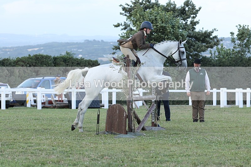JPP_3636 - Class 24: Open Working Hunter