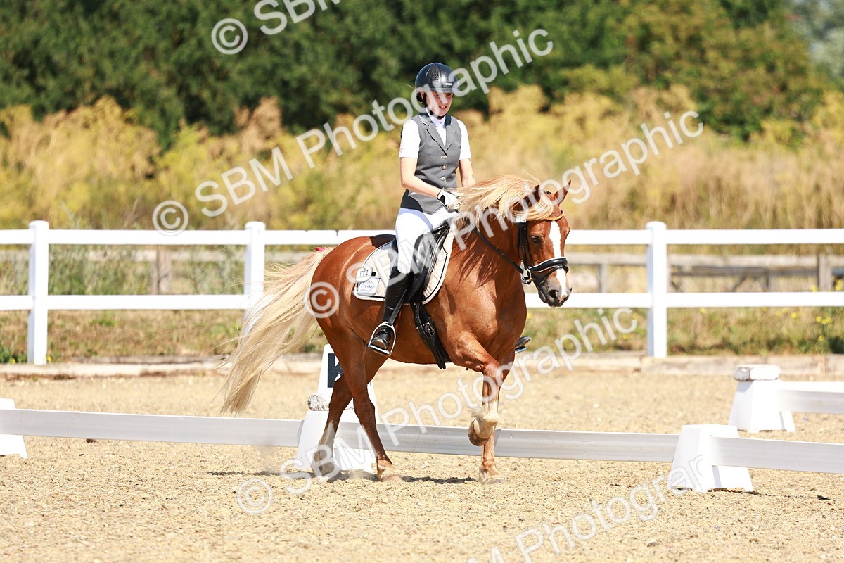 SBM_009798 - Elementary 5 - 9.38-10.58