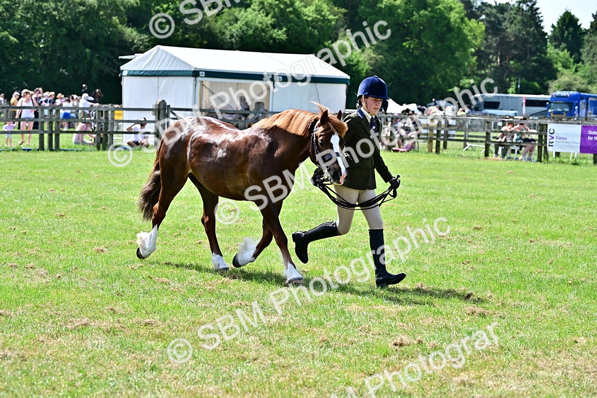 SBM_03878 - Class 58 - TSR  Ridden Veteran Amateur of the year