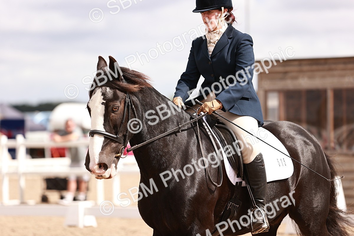 SBM_06208 - Class 37 - Novice 5