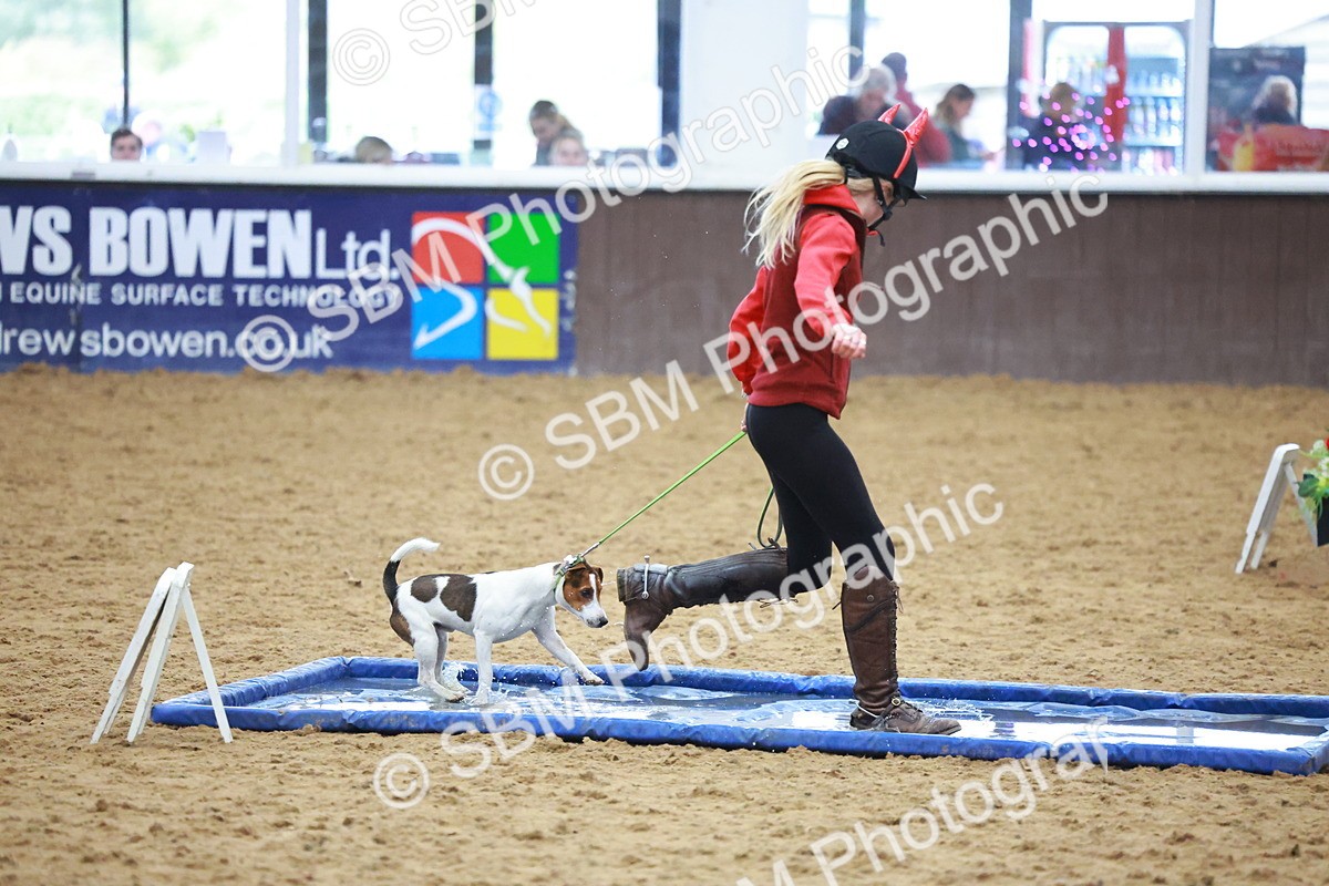 SBM_002125 - Class 3 - Horse & Hound (60cm)